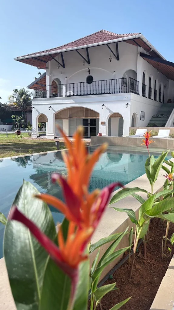 One Kochi's pool and heritage building with a bright orange heliconia flower in the foreground